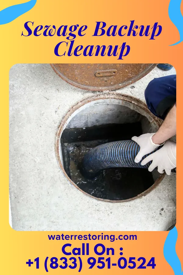Sewage Backup Cleanup in California Junction, IA