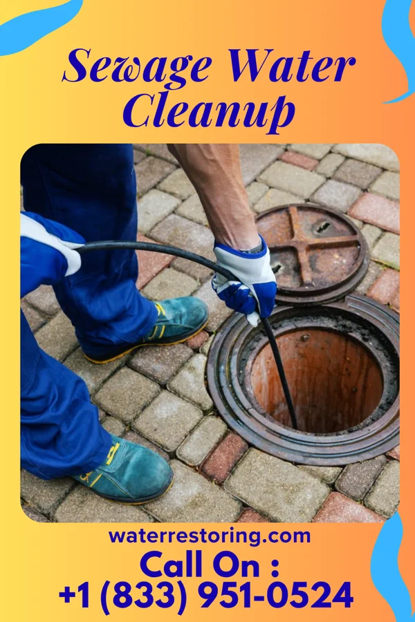 Sewage Water Cleanup in California Junction, IA